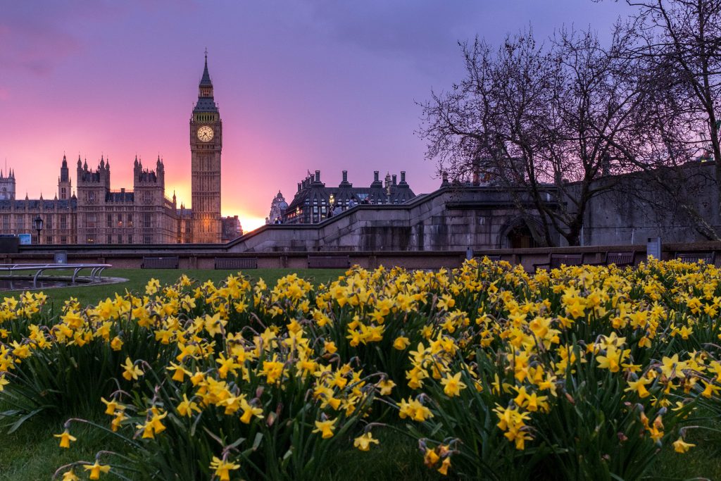 Houses of Parliament
